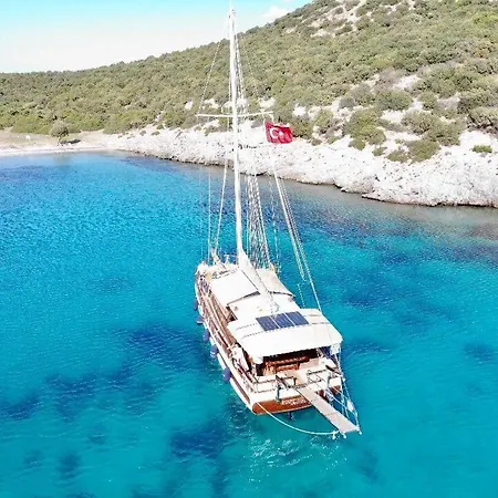 Saracoglu Vip بوتيل *